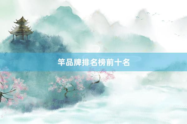竿品牌排名榜前十名